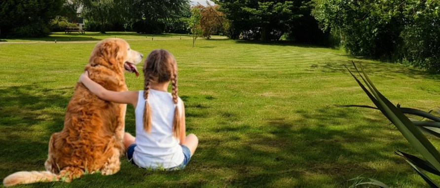 Your pets will enjoy themselves too!